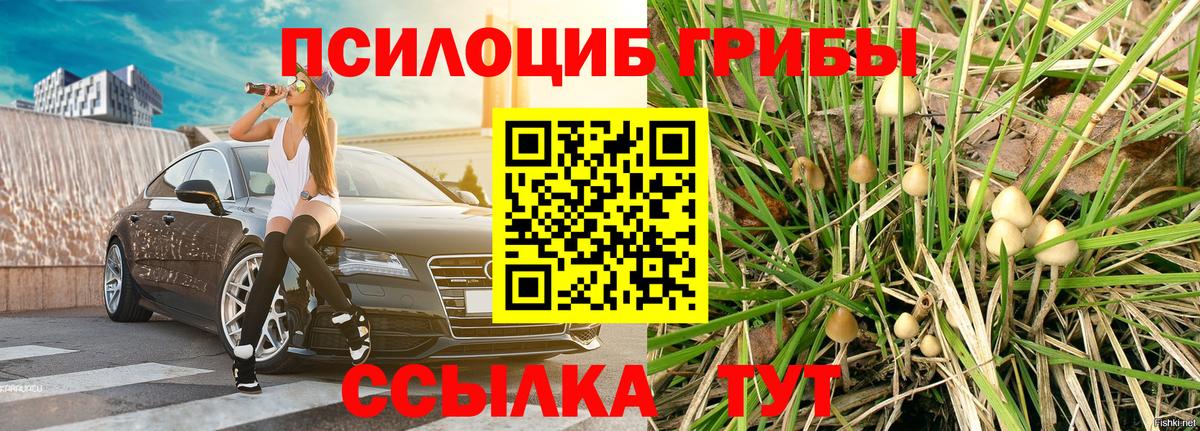 Псилоцибиновые грибы Magic Shrooms Лиски